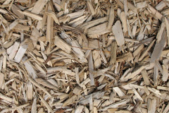 biomass boilers Blackwood